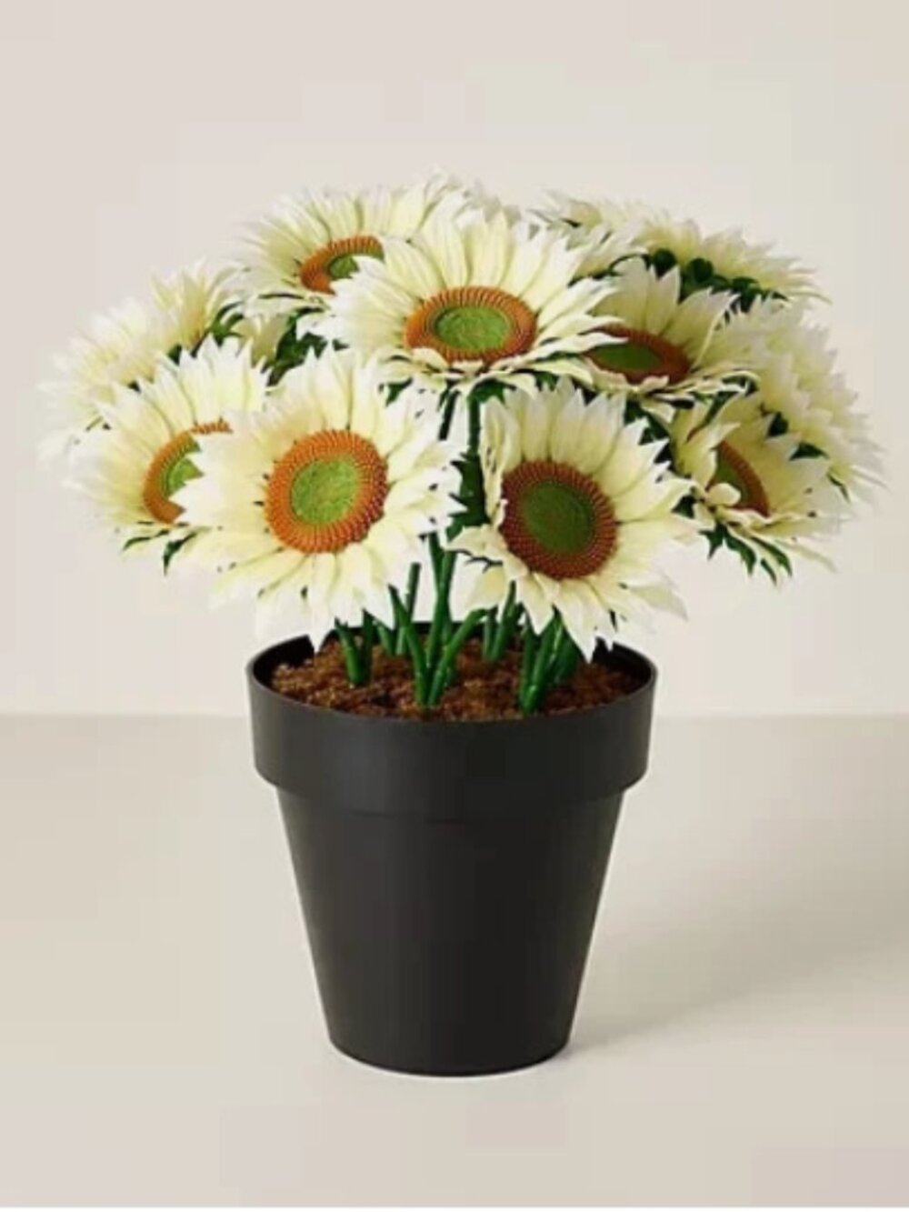 Wicker Park 17" Jumbo Bloom Potted Sunflower Arrangement-White-NEW-H527960